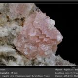 FluoriteAiguille Verte (lado La Charpoua), Mont Blanc, Chamonix, Haute-Savoie, Auvergne-Rhône-Alpes, Franciafov 30 mm (Author: ploum)