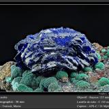 Azurite<br />Touissit, Touissit District, Jerada Province, Oriental Region, Morocco<br />fov 30 mm<br /> (Author: ploum)