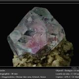 Fluorite<br />Zinggenstöcke, Oberaar Lake area, Grimsel area, Hasli Valley, Bern, Switzerland<br />fov 30 mm<br /> (Author: ploum)