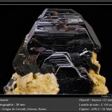 Hematite<br />Cavradi, Curnera Valley, Tujetsch (Tavetsch), Vorderrhein Valley, Grischun (Grisons; Graubünden), Switzerland<br />Fov 20 mm<br /> (Author: ploum)