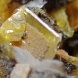 Barite on Wulfenite and Mimetite<br />San Francisco Mine, Cerro Prieto, Cucurpe, Municipio Cucurpe, Sonora, Mexico<br />5.7 x 4.6 x 3.4 cm<br /> (Author: steven calamuci)