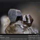 Anatase<br />Col de la Madeleine, La Lauzière Massif, Saint-Jean-de-Maurienne, Savoie, Auvergne-Rhône-Alpes, France<br />fov 3.0 mm<br /> (Author: ploum)