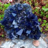 fluorite<br />Rogerley Mine, Frosterley, Weardale, North Pennines Orefield, County Durham, England / United Kingdom<br />12 cm across<br /> (Author: Jesse Fisher)