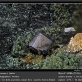 Anatase<br />Col de la Madeleine, La Lauzière Massif, Saint-Jean-de-Maurienne, Savoie, Auvergne-Rhône-Alpes, France<br />fov 3.0 mm<br /> (Author: ploum)