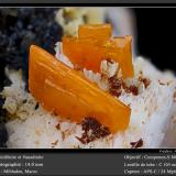 Wulfenite and VanadiniteMibladen (Mibladen mining district), Midelt, Midelt Province, Drâa-Tafilalet Region, Moroccofov 14 mm (Author: ploum)