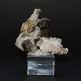 Grossular<br />Uchucchacua Mine, Oyón Province, Lima Department, Peru<br />60mm x 50mm x 25mm<br /> (Author: Philippe Durand)