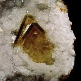 Barite on Quartz<br />State Route 37 road cuts, Harrodsburg, Clear Creek Township, Monroe County, Indiana, USA<br />barites are 3.8 cm<br /> (Author: Bob Harman)