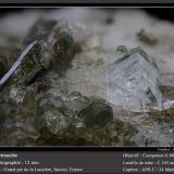 Bertrandite<br />Grand Pic de la Lauzière, La Lauzière Massif, Saint-Jean-de-Maurienne, Savoie, Auvergne-Rhône-Alpes, France<br />fov 12 mm<br /> (Author: ploum)