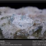 Bertrandite<br />Grand Pic de la Lauzière, La Lauzière Massif, Saint-Jean-de-Maurienne, Savoie, Auvergne-Rhône-Alpes, France<br />fov 12 mm<br /> (Author: ploum)