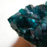 Dioptase<br />Tsumeb Mine, Tsumeb, Otjikoto Region, Namibia<br />35mmx30mmx25mm<br /> (Author: Heimo Hellwig)