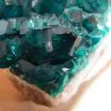 Dioptase<br />Tsumeb Mine, Tsumeb, Otjikoto Region, Namibia<br />35mmx30mmx25mm<br /> (Author: Heimo Hellwig)