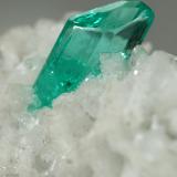 Beryl (variety emerald), Albite (variety cleavelandite), Pyrite<br />Chivor mining district, Municipio Chivor, Eastern Emerald Belt, Boyacá Department, Colombia<br />24x13x11mm, xl=6mm<br /> (Author: Fiebre Verde)