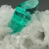 Beryl (variety emerald), Albite (variety cleavelandite), Pyrite<br />Chivor mining district, Municipio Chivor, Eastern Emerald Belt, Boyacá Department, Colombia<br />24x13x11mm, xl=6mm<br /> (Author: Fiebre Verde)