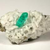 Beryl (variety emerald), Albite (variety cleavelandite), Pyrite<br />Chivor mining district, Municipio Chivor, Eastern Emerald Belt, Boyacá Department, Colombia<br />24x13x11mm, xl=6mm<br /> (Author: Fiebre Verde)