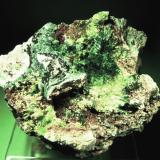 Cuprosklodowskita<br />Mina Musonoi, Kolwezi, Distrito Kolwezi, Lualaba, Cinturón de cobre de Katanga, Katanga (Shaba), República Democrática del Congo (Zaire)<br />65x50 mm.<br /> (Autor: Jesus Franquesa Baucells)