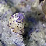 Quartz (variety smoky quartz), Fluorite, Calcite, Marcasite<br />Francon Quarry, Montréal, St. Michel District, Jacques Cartier County, Québec, Canada<br /><br /> (Author: am mizunaka)