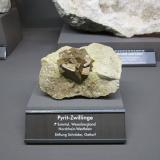 Pyrite<br />Extertal, Weserbergland, Lippe, Detmold, North Rhine-Westphalia/Nordrhein-Westfalen, Germany<br />Specimen size 9 cm<br /> (Author: Tobi)