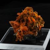 Wulfenite<br />Jianshan Mine, Ruoqiang, Bayin'gholin Autonomous Prefecture, Xinjiang Uyghur Autonomous Region, China<br />4.8 x 4.1 x 2.6 cm<br /> (Author: steven calamuci)