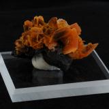 Wulfenite<br />Jianshan Mine, Ruoqiang, Bayin'gholin Autonomous Prefecture, Xinjiang Uyghur Autonomous Region, China<br />4.8 x 4.1 x 2.6 cm<br /> (Author: steven calamuci)