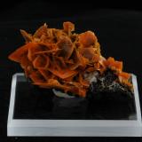 Wulfenite<br />Jianshan Mine, Ruoqiang, Bayin'gholin Autonomous Prefecture, Xinjiang Uyghur Autonomous Region, China<br />4.8 x 4.1 x 2.6 cm<br /> (Author: steven calamuci)