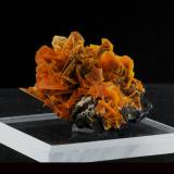 Wulfenite<br />Jianshan Mine, Ruoqiang, Bayin'gholin Autonomous Prefecture, Xinjiang Uyghur Autonomous Region, China<br />4.8 x 4.1 x 2.6 cm<br /> (Author: steven calamuci)