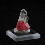 Rhodochrosite and Quartz<br />Huayllapon Mine (Huallapon Mine), Pasto Bueno, Pampas District, Pallasca Province, Ancash Department, Peru<br />2.6 x 1.7 x 1.7 cm<br /> (Author: steven calamuci)