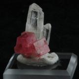 Rhodochrosite and Quartz<br />Huayllapon Mine (Huallapon Mine), Pasto Bueno, Pampas District, Pallasca Province, Ancash Department, Peru<br />2.6 x 1.7 x 1.7 cm<br /> (Author: steven calamuci)