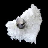 Galena on Quartz<br />Palomo Mine, Castrovirreyna Province, Huancavelica Department, Peru<br />Specimen size 9 cm<br /> (Author: Tobi)