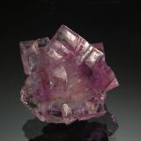 Fluorite<br />Jaimina Mine, Obdulia vein, Caravia mining area, Trechorio, Carrales, Caravia, Comarca Oriente, Principality of Asturias (Asturias), Spain<br />1.8 x 2.1 cm<br /> (Author: crosstimber)