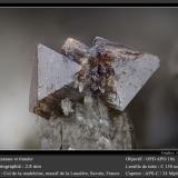 Anatase and Titanite<br />Col de la Madeleine, La Lauzière Massif, Saint-Jean-de-Maurienne, Savoie, Auvergne-Rhône-Alpes, France<br />fov 2.8 mm<br /> (Author: ploum)