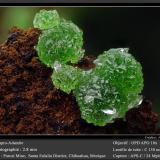 Adamite<br />Potosí Mine, Santo Domingo (Francisco Portillo), Santa Eulalia District, Municipio Aquiles Serdán, Chihuahua, Mexico<br />fov 2.8 mm<br /> (Author: ploum)