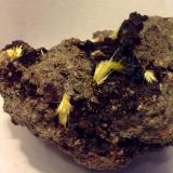 Uranophane, Goethite<br />Madawaska Mine, Faraday Township, Hastings County, Ontario, Canada<br />5.7 cm<br /> (Author: JC)