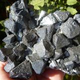 MagnetitaKovdor Zheleznyi Mine, Kovdor Massif, Kola Peninsula, Murmanskaja Oblast, Northern Region, Russia11 x 10 cm (Autor: nerofis2)