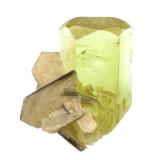 Beryl, Muscovite<br />Pakistan<br />Crystal height 2,5 cm<br /> (Author: Tobi)