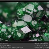 Uvarovite (Garnet Group)<br />Saranovskii Mine, Saranovskaya (Sarany), Gornozavodskii, Perm Krai, Ural, Russia<br />fov 2.8 mm<br /> (Author: ploum)