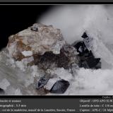 Titanite and Anatase<br />Col de la Madeleine, La Lauzière Massif, Saint-Jean-de-Maurienne, Savoie, Auvergne-Rhône-Alpes, France<br />fov 5.5 mm<br /> (Author: ploum)