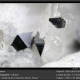 Anatase<br />Grand Pic de la Lauzière, La Lauzière Massif, Saint-Jean-de-Maurienne, Savoie, Auvergne-Rhône-Alpes, France<br />fov 2.8 mm<br /> (Author: ploum)