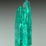 Beryl (variety emerald)<br />La Pita mining district, Municipio Maripí, Western Emerald Belt, Boyacá Department, Colombia<br />24mm<br /> (Author: Fiebre Verde)