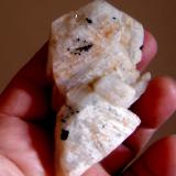 Albita (variedad oligoclasa) con Chorlo (Grupo Turmalina)São João do Manteninha, Vale do Rio Doce, Minas Gerais, Brazil9 x 4 x 0,7 cm (Autor: Anisio Claudio)