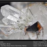 Brookite on Quartz<br />Zard Mountain, Ras Koh Mountains, Kharan District, Balochistan (Baluchistan), Pakistan<br />fov 20 mm<br /> (Author: ploum)