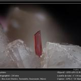 Erythrite on QuartzBou Azzer mining district, Drâa-Tafilalet Region, Moroccofov 2.8 mm (Author: ploum)