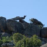 Rock formations caused by weathering. (Author: Pierre Joubert)