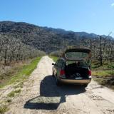 A quick stop in the pear orchard to take a picture.  The pear trees are in full bloom. (Author: Pierre Joubert)