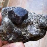 Almandino (Grupo Granate)Bama Openpit (San Rafael Claim), Picón or Minas hill, San Vicenzo de Bama, Touro, Comarca Arzúa, La Coruña / A Coruña, Galicia / Galiza, Spain6 x 5 cm (Autor: Cristalino)