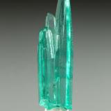 Beryl (variety emerald)<br />La Pita mining district, Municipio Maripí, Western Emerald Belt, Boyacá Department, Colombia<br />20x5mm<br /> (Author: Fiebre Verde)