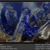 Azurite on Quartz<br />Mont Chemin, Martigny, Wallis (Valais), Switzerland<br />fov 2.8 mm<br /> (Author: ploum)