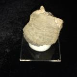 WitheriteGolconda Prospects, Golconda, Pope County, Illinois, USA45 mm X 45 mm X 40 mm (Author: Robert Seitz)