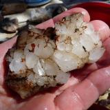 QuartzCeres, Warmbokkeveld Valley, Ceres, Valle Warmbokkeveld, Witzenberg, Cape Winelands, Provincia Occidental del Cabo, SudáfricaHands for size. (Author: Pierre Joubert)