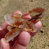 Quartz<br />Ceres, Warmbokkeveld Valley, Ceres, Valle Warmbokkeveld, Witzenberg, Cape Winelands, Western Cape Province, South Africa<br />Hands for size.<br /> (Author: Pierre Joubert)