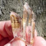 QuartzCeres, Warmbokkeveld Valley, Ceres, Valle Warmbokkeveld, Witzenberg, Cape Winelands, Provincia Occidental del Cabo, SudáfricaHands for size. (Author: Pierre Joubert)